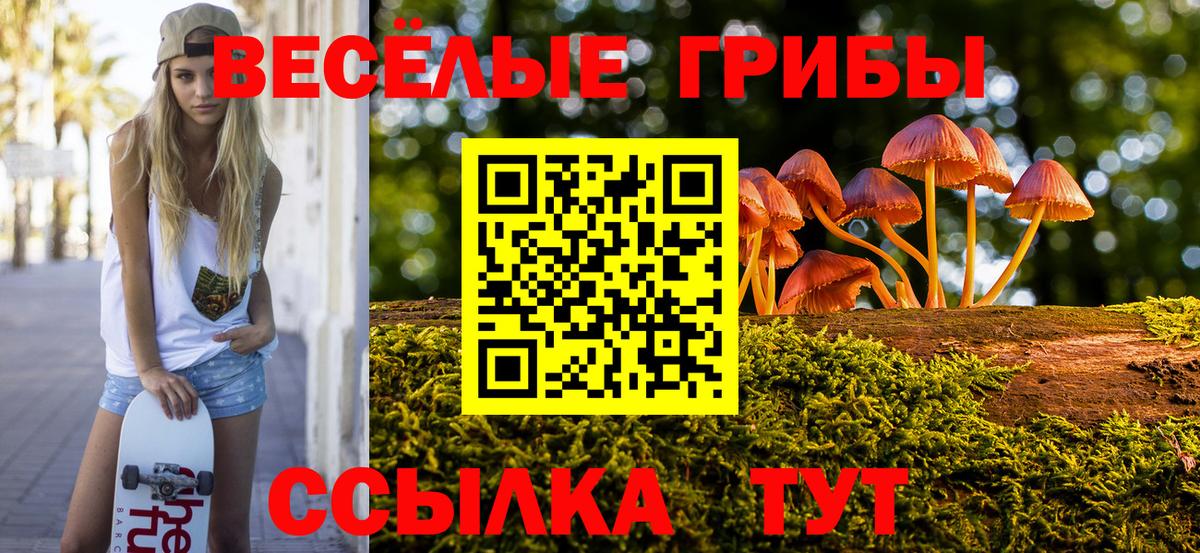 Галлюциногенные грибы прущие грибы Кыштым
