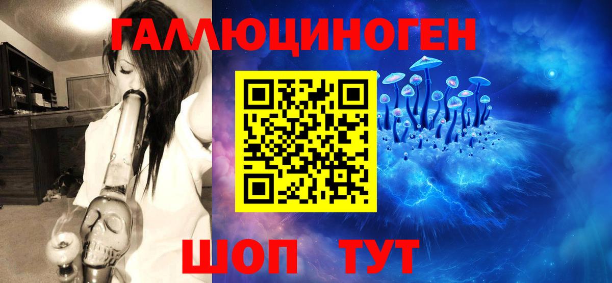 Галлюциногенные грибы ЛСД  Галлюциногенные грибы Magic Shrooms  Вход с VPN  цена   Кыштым 